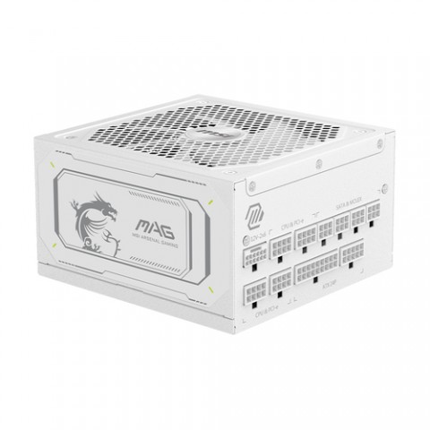 MSI ALIMENTATORE EU, 1000W, FULLY MODULAR, 80 PLUS GOLD, COLOR BOX