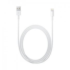 APPLE CAVO LIGHTNING TO USB CABLE (2 M)