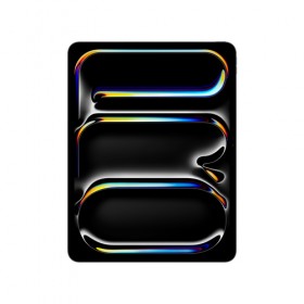 APPLE 13INCH IPAD PRO WIFI + CELLULAR 256GB WITH STANDARD GLASS SPACE BLACK APPLE 13INCH IPAD PRO WIFI + CELLULAR 256GB WITH STANDARD GLASS SPACE BLACK