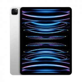 APPLE 11-INCH IPAD PRO WI-FI + CELLULAR 256GB - SILVER