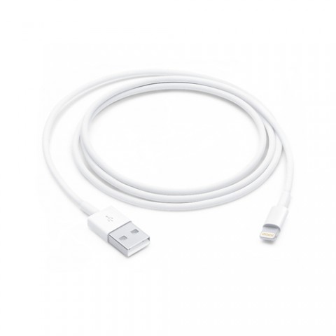 APPLE CAVO LIGHTNING TO USB CABLE (1 M)