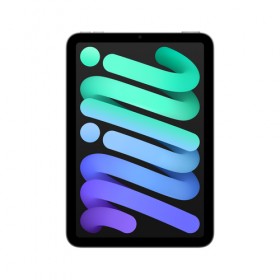 APPLE IPAD MINI WI-FI 256GB - SPACE GREY APPLE IPAD MINI WI-FI 256GB - SPACE GREY