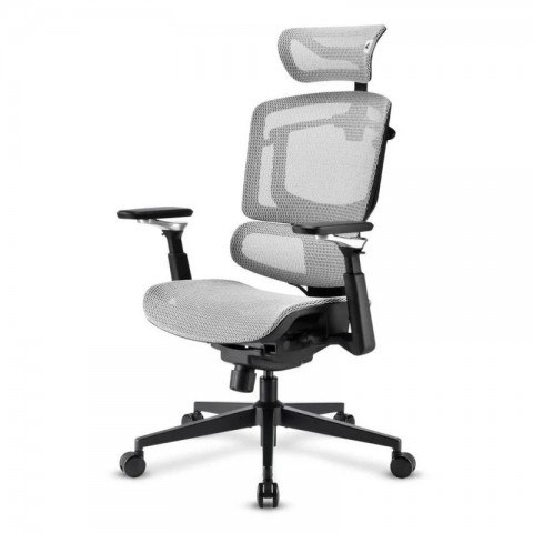 SHARKOON SEDIA OFFICE FABRIC SEAT MESH 4D ARMREST 5 HEIGHTS ADJUSTABLE  MAX WEIGHT CAPACITY 150KG