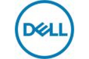 DELL SSD SERVER 960GB SATA 2,5" 6GBPS SFF READ INTENSIVE 512E (3.5IN DRIVE CARRIER)