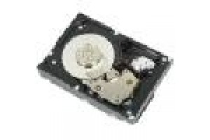 DELL HDD SERVER 2TB 7.2K SATA ENTRY 3.5" CABLED HARD DRIVE